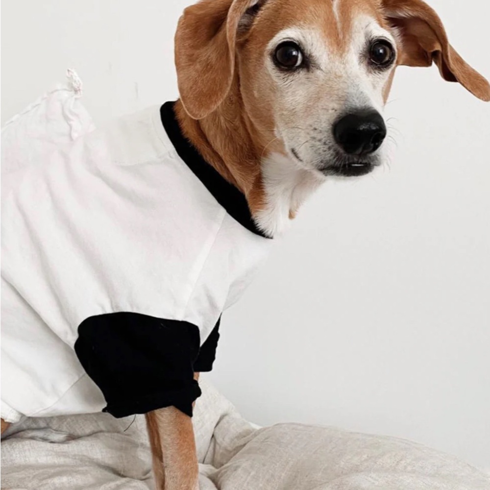 NWT White and Black Dog Shirt, Baseball Tshirt, XS